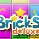 Bricks Deluxe 3 bricks deluxe 1