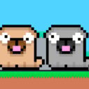 Friends Pug 8 friends pug 1